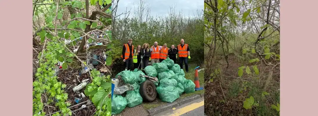 Working Together: Local Litter Pick