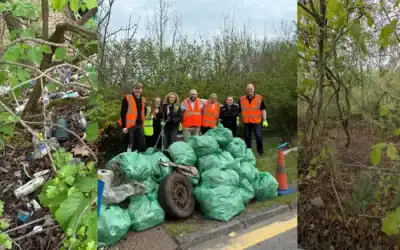 Working Together: Local Litter Pick