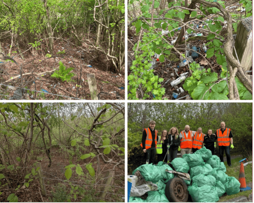 Litter Pick